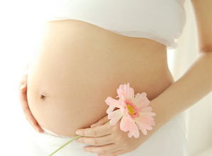 怀孕的表现怀孕初期